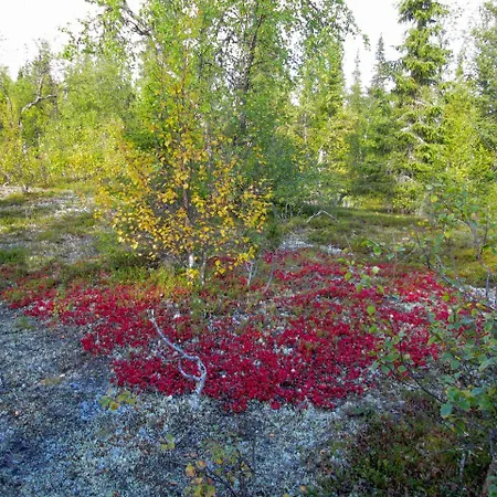 Kuerkaltio 招待所 3*